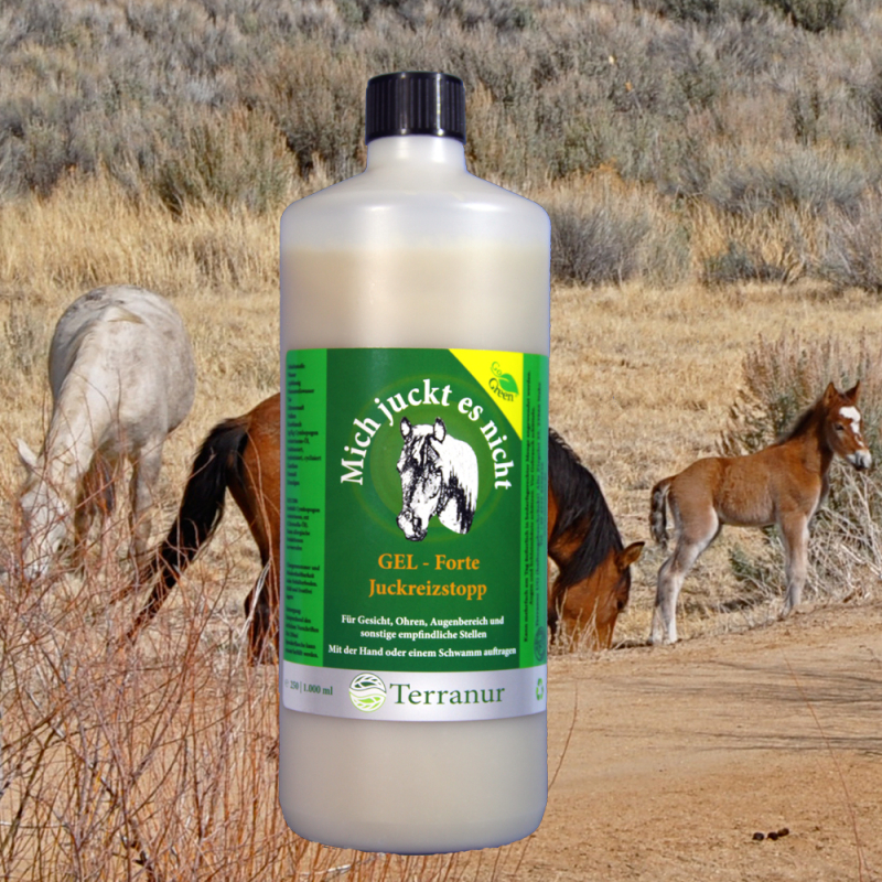 Gel - Forte 1.000 ml Nachfüllflasche